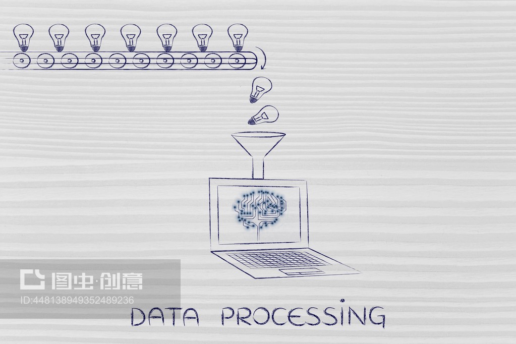 数据处理概念concept of data processing