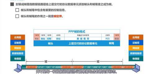 计算机网络